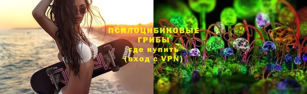 Альфа ПВП Алексин